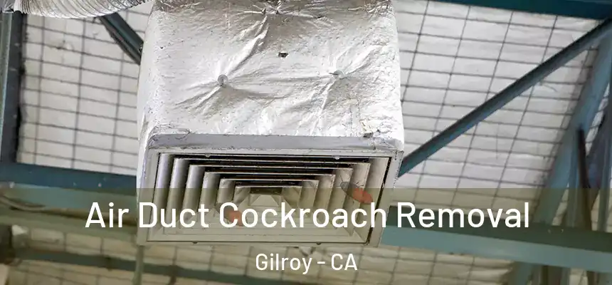  Air Duct Cockroach Removal Gilroy - CA