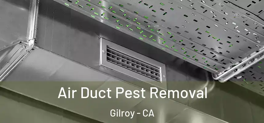  Air Duct Pest Removal Gilroy - CA