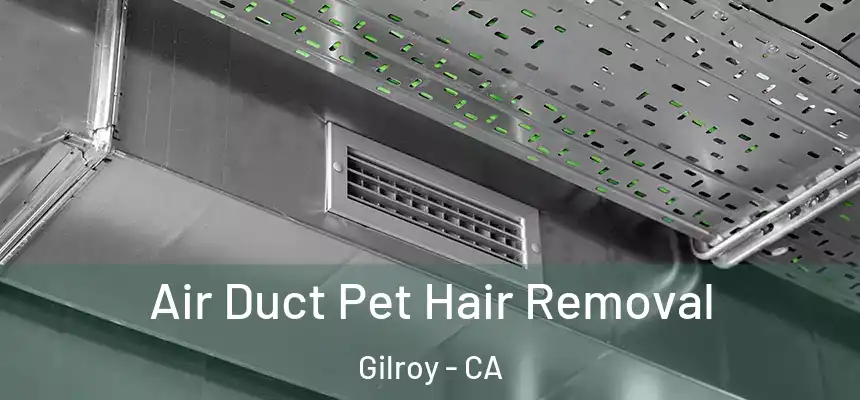  Air Duct Pet Hair Removal Gilroy - CA