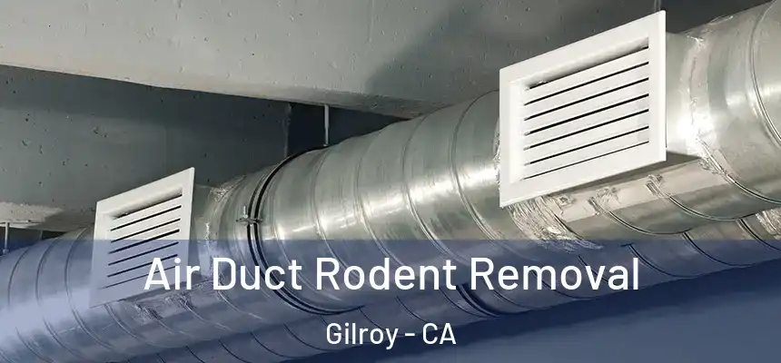  Air Duct Rodent Removal Gilroy - CA