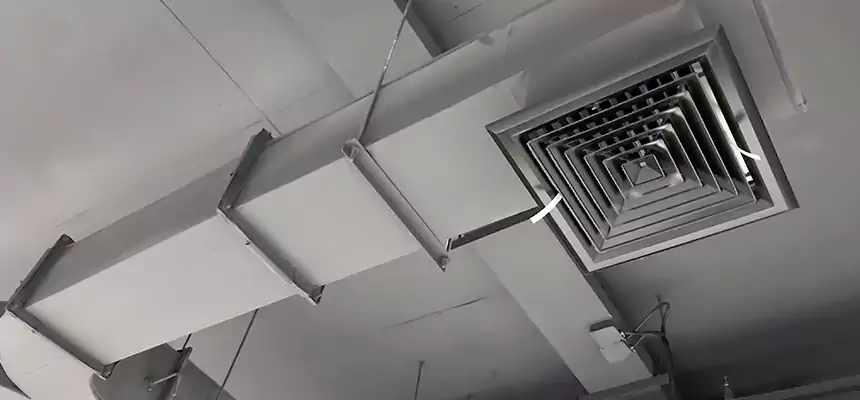 Restorative Allergy Relief Vent Cleaning – Coil, Blower & Housing Detail in Gilroy