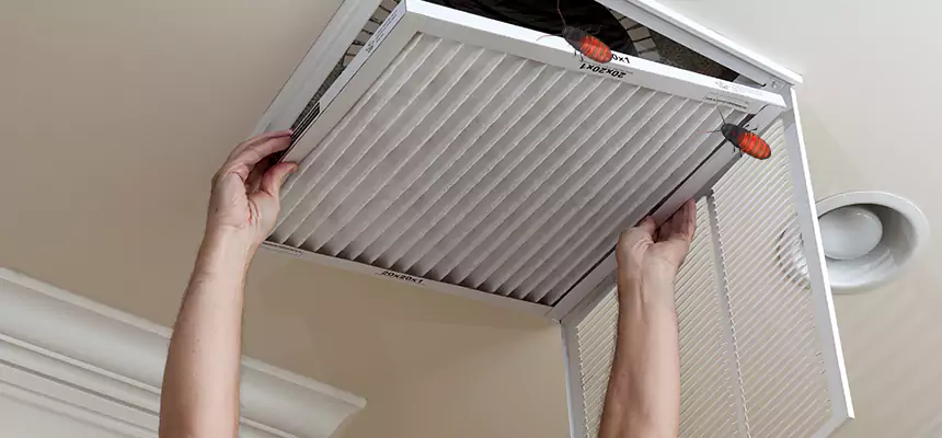 Our Insect Removal from Air Ducts Services in Gilroy, CA