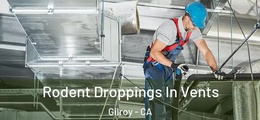  Rodent Droppings In Vents Gilroy - CA