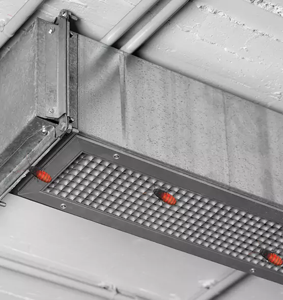 About Air Duct Cockroach Removal in Gilroy, CA