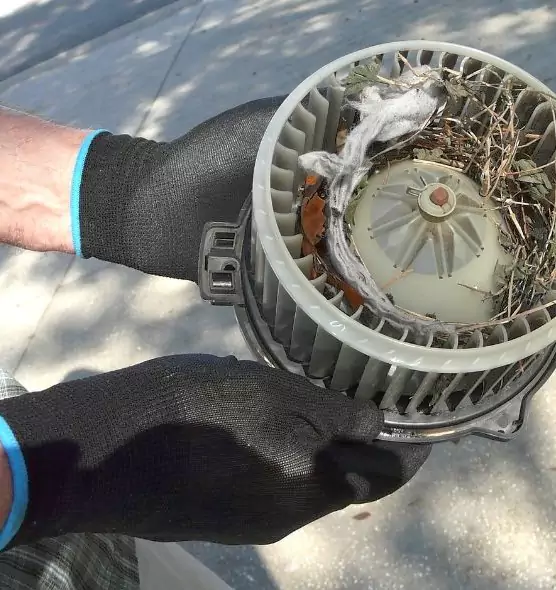 About Air Duct Rat Removal in Gilroy, CA