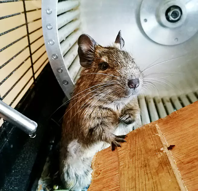 Why Homeowners & Businesses Trust Us Gilroy, CA