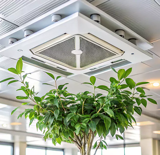 Why Homeowners & Businesses Trust Us in Gilroy, CA